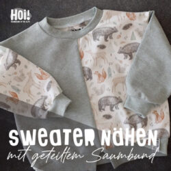 ok084_YT_DN_B&J_Waldtier_Videos_pulli Kopie